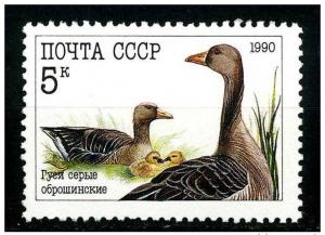 Russia 1990 - scott 5909 MNH - 5k, Poultry 