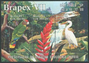 Brazil 2158,MNH.Mi Bl.76. BRAPEX-1988. Ecological Preservation. Parrot, Pelican.