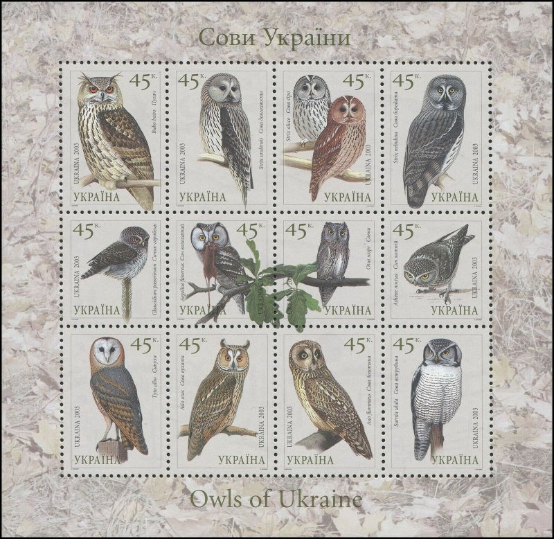 Ukraine 2003 Sc 513 Birds Owl CV $6.50