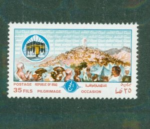 IRAQ 896 MNH BIN $0.55
