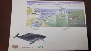 CM) 1977. IRELAND. STAMP BLOCK. ABOUT MARINE LIFE. FDC. XF