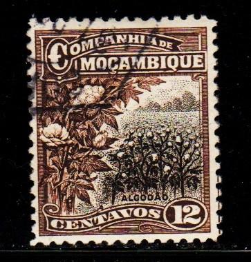 Mozambique Company - #129 Cotton Field - Used