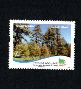 2013- Morocco- The 100th Anniversary of the Ministry of Water and Forestry-MNH** 