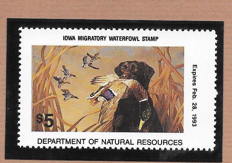 IOWA #IA21 1992 State Duck Stamp Black Lab & Mallard by Charlotte Edwards.