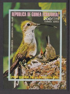 Equatorial Guinea South American Birds Souvenir Sheet MNH VF