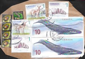 Canada #2405 and more.  Envelope corner. Blue Whale, Walrus, Deer, Insects