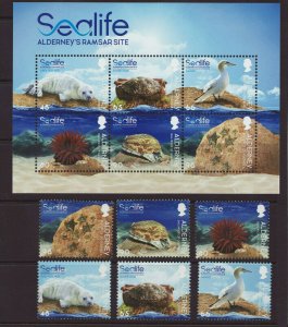 Alderney 2020 MNH - Alderney Sealife - set of 6 stamps and m/sheet