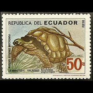 ECUADOR 1986 - Scott# 1119 Giant Tortoise 50s NH