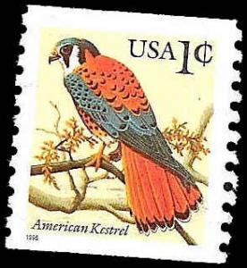 # 3044 USED AMERICAN KESTREL