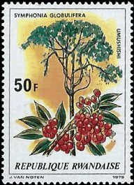 RWANDA   #921 MNH (1)