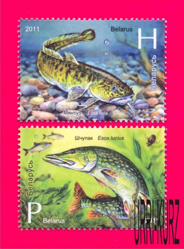 BELARUS 2011 Nature Fauna Fish Burbot & Pike 2v Sc780-781 Mi870-871 MNH