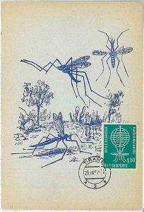 32525 - ALBANIA - MAXIMUM CARD: insect medicine MALARIA 1962 # 1-