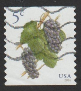 SC# 5038 - (5c) - Pinot Noir Grapes, used coil single off paper