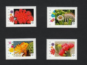 cp. CACTUS FLOWERS = set of 4 picture postage sts MNH Canada 2015 [p15/01ct41]