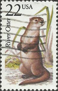 # 2314 USED RIVER OTTER