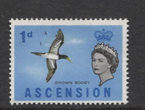 ASCENSION- Scott 75 - Bird - Brown Booby -1963 - MNH - Single 1d Stamp
