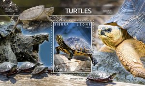 Sierra Leone - 2019 Turtles on Stamps - Stamp Souvenir Sheet - SRL191206b