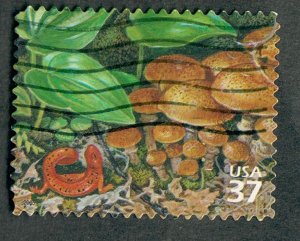 3899i Deciduous Forest used Single