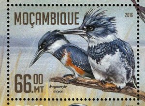 Water Birds Stamp Phoenicopterus Roseus Platalea Ajaja S/S MNH #8459-8462 