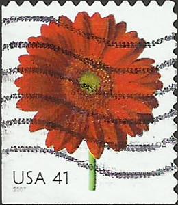 # 4181 USED RED GERBERA DAISY