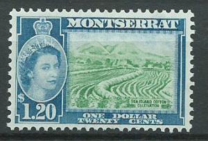 Montserrat SG 147 Mint Very Light Hinge