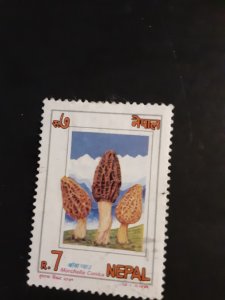 Nepal #554           Used