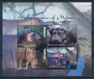 [38768] Malawi 2009 Wild Animals Mammals Hippo MNH Sheet