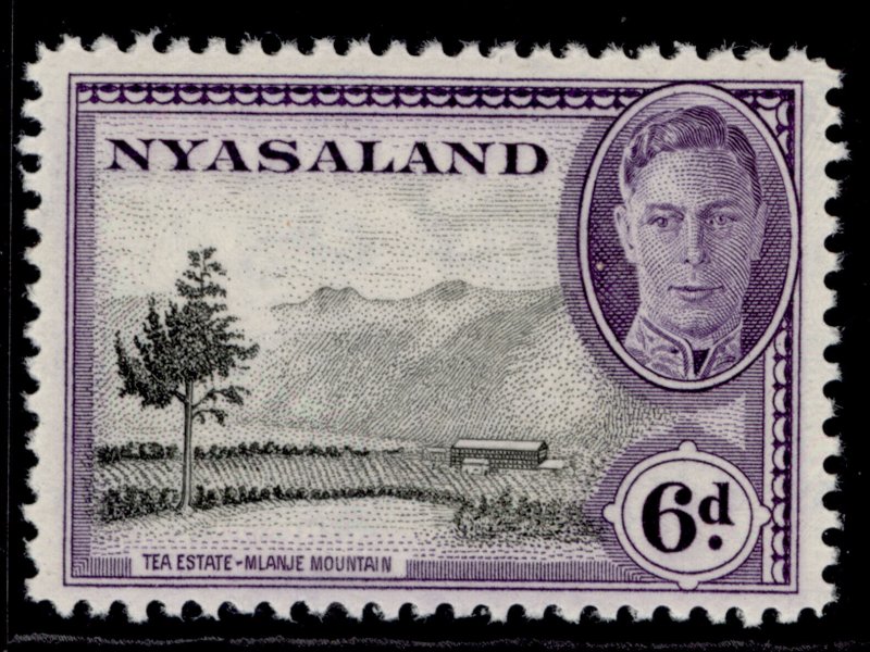 NYASALAND PROTECTORATE GVI SG150, 6d black & violet, NH MINT.