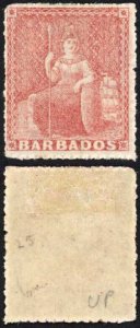 Barbados SG25 (4d) Dull Rose-red Rough Perf 14 to 16 No Wmk M/M Cat 170 pounds