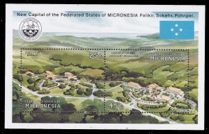 25-cent souvenir Sheet - Micronesia 132