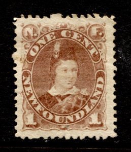 Newfoundland Stamp #41 MINT NG VF SINGLE