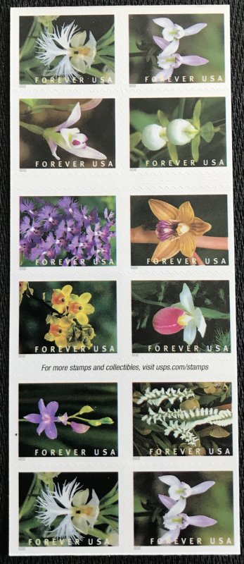 US #5445-5454 (5454b) MNH Booklet Pane of 20 Wild Orchids (.55) SCV $22.00