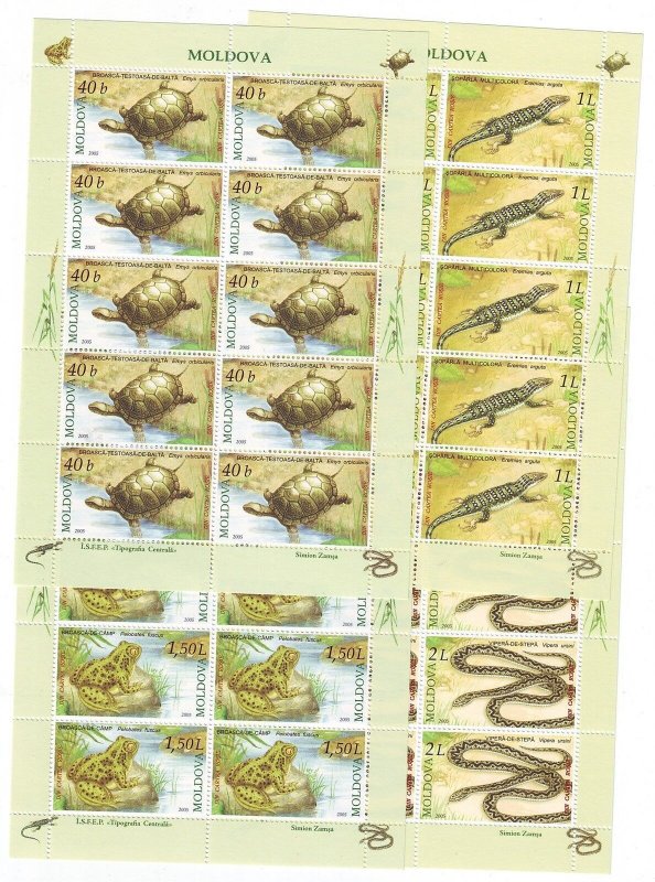 MOLDOVA Sc 501-5 NH MINISHEETS + SOUVENIR SHEET of 2005 - REPTILES