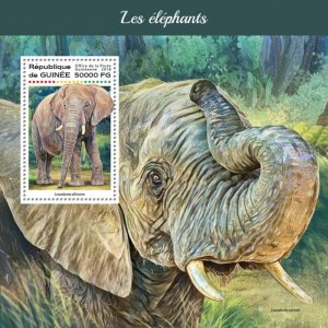 GUINEA - 2018 - Elephants - Perf Souv Sheet - Mint Never Hinged