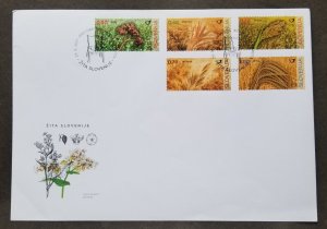 *FREE SHIP Slovenia Cereals 2017 Crop Wheat Barley Spelt Food Plant Flower (FDC)