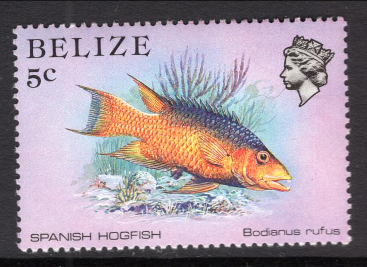 Belize 703 Fish MNH VF