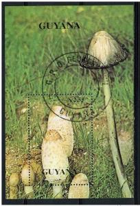 Guyana 1990 - Scott 2450 souvenir sheet of 1 CTO - Mushrooms