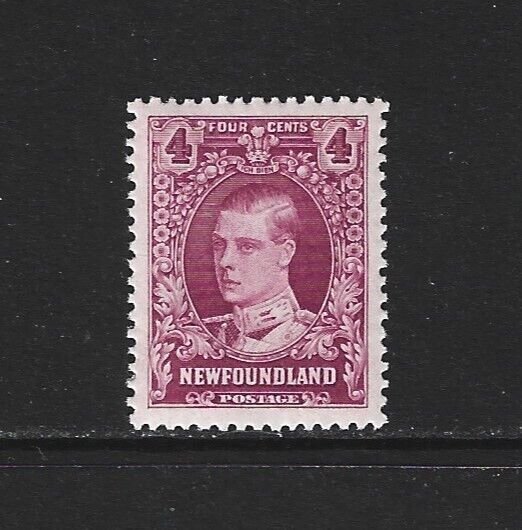 NEWFOUNDLAND - #166 - 4c PRINCE OF WALES VF MINT STAMP MH