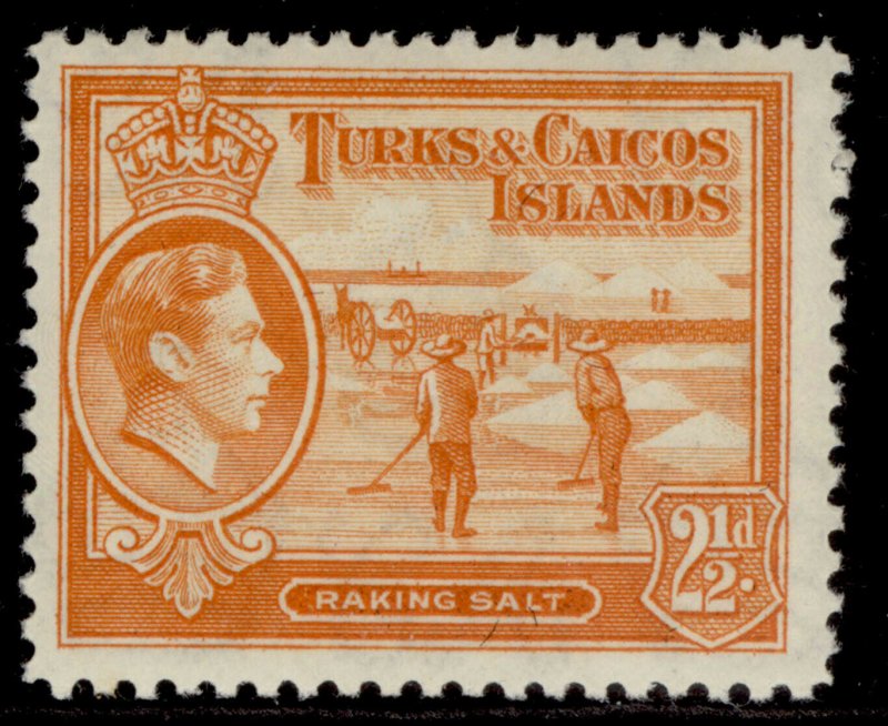 TURKS & CAICOS ISLANDS GVI SG199, 2½d yellow-orange, NH MINT. Cat £13.