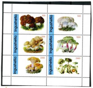 Ingushetia 1998 (Russia Local) Mushrooms Sheet Perforated mnh.vf