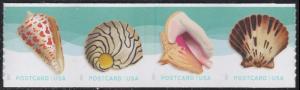 US 5167-5170 5170a Seashells Postcard strip set (from coil of 100) MNH 2017