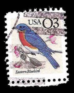 # 2478 USED EASTERN BLUEBIRD