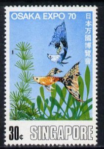 SINGAPORE - 1970 - Osaka Expo 70, Fish - Perf Single Stamp - Mint Never Hinged