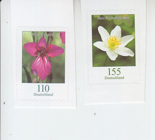 2019 Germany Wood Anemone & Gladioli Flowers SA  (Scott 3114-15) MNH