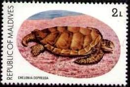 Flatback Turtle, Maldive Islands stamp SC#842 MNH