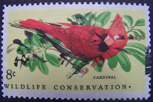 EFO #1465, Large color shift; Cardinal doubled; Mint, NH