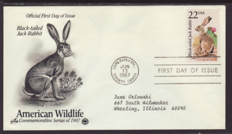 US Jack Rabbit 1987 PCS Typed FDC BIN