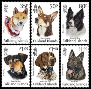 FALKLAND ISLANDS 2024 WORKING DOGS CHIENS HUNDE CANI PERROS ANIMALS PETS