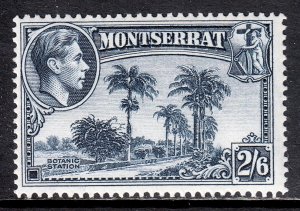 Montserrat - Scott #100 - MLH - SCV $13
