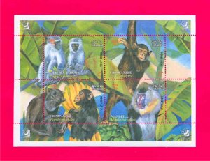 IRAN 2004 Nature Fauna Animals Primates Monkeys s-s Sc2896 MiBl.40(2976-2979) MN